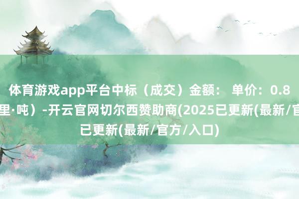 体育游戏app平台中标（成交）金额： 单价：0.80元/（公里·吨）-开云官网切尔西赞助商(2025已更新(最新/官方/入口)